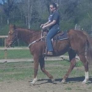 Meet your Posher, Misty